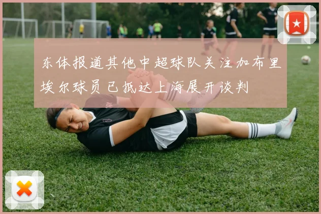 东体报道其他中超球队关注加布里埃尔球员已抵达上海展开谈判