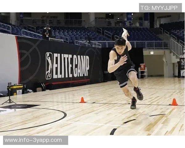 拓媒评论杨瀚森与约基奇新秀表现差距显著NBA未来发展需重新审视